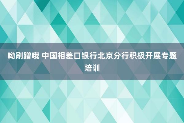 呦剐蹭哦 中国相差口银行北京分行积极开展专题培训