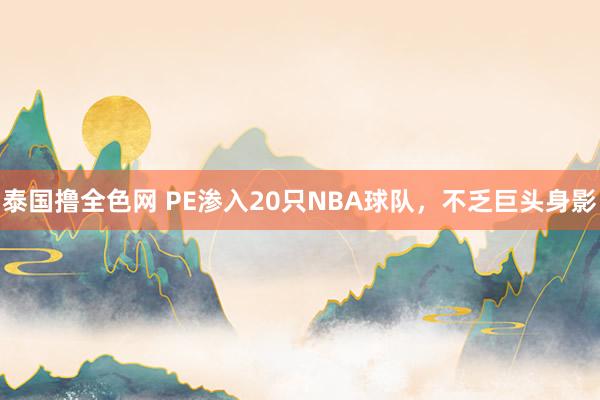 泰国撸全色网 PE渗入20只NBA球队，不乏巨头身影