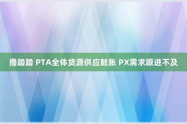 撸踏踏 PTA全体货源供应鼓胀 PX需求跟进不及