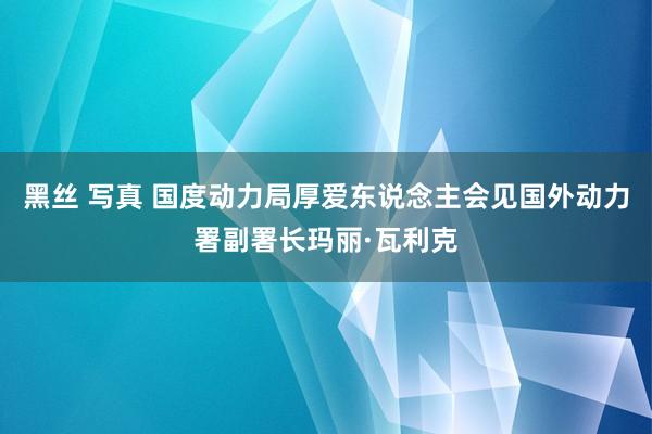 黑丝 写真 国度动力局厚爱东说念主会见国外动力署副署长玛丽·瓦利克