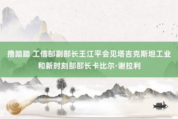 撸踏踏 工信部副部长王江平会见塔吉克斯坦工业和新时刻部部长卡比尔·谢拉利