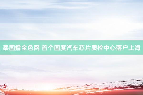 泰国撸全色网 首个国度汽车芯片质检中心落户上海