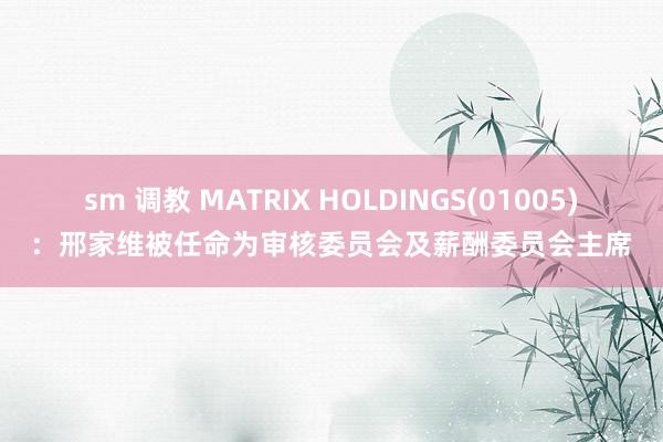 sm 调教 MATRIX HOLDINGS(01005)：邢家维被任命为审核委员会及薪酬委员会主席