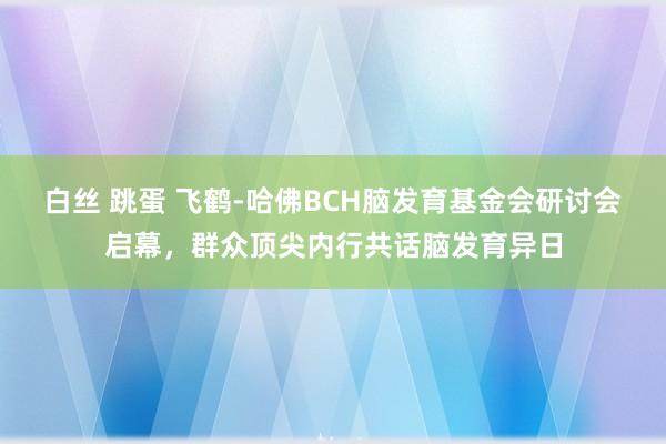 白丝 跳蛋 飞鹤-哈佛BCH脑发育基金会研讨会启幕，群众顶尖内行共话脑发育异日