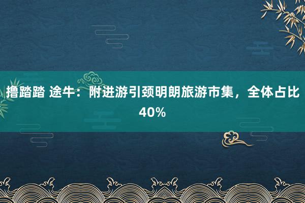 撸踏踏 途牛：附进游引颈明朗旅游市集，全体占比40%