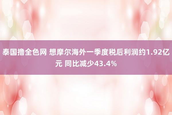 泰国撸全色网 想摩尔海外一季度税后利润约1.92亿元 同比减少43.4%